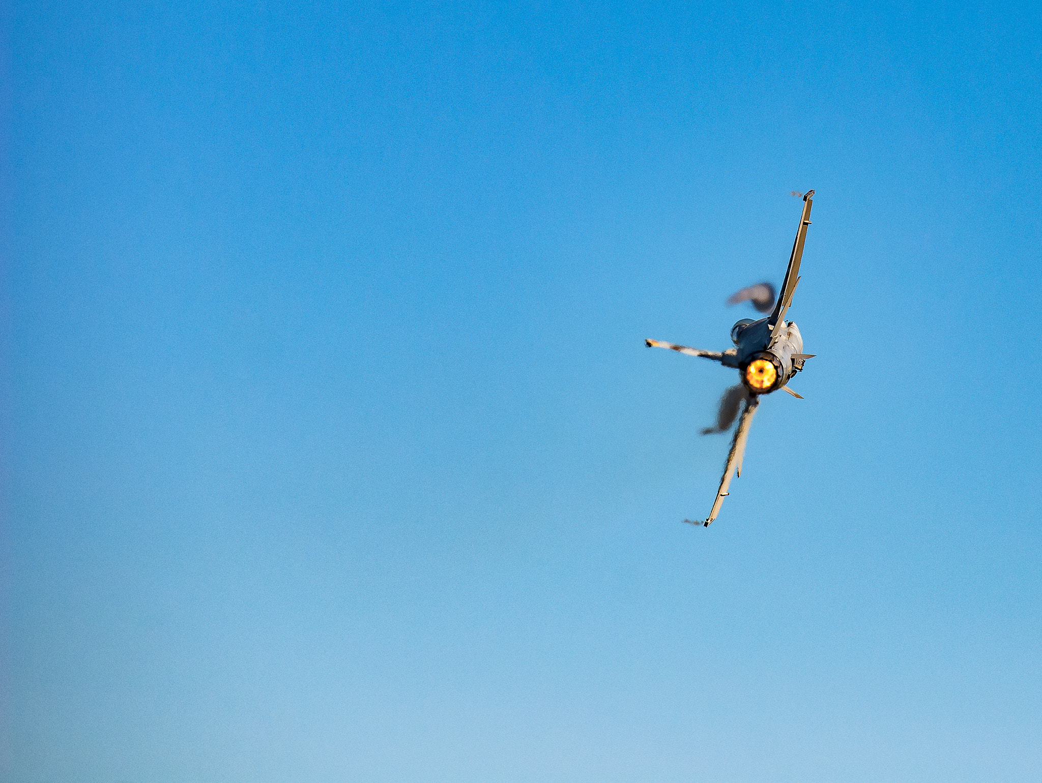 Nikon D200 sample photo. Fighting falcon photography