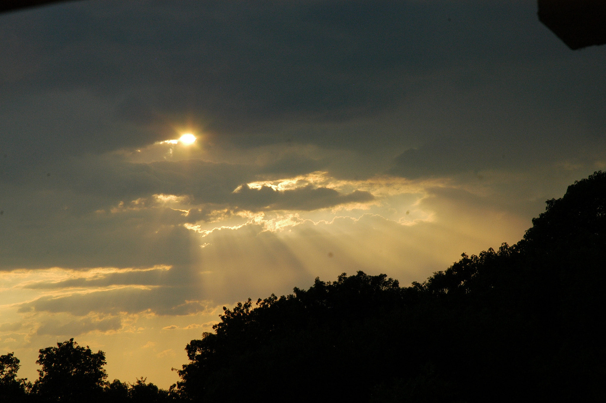Nikon D100 sample photo. Struggle  photography