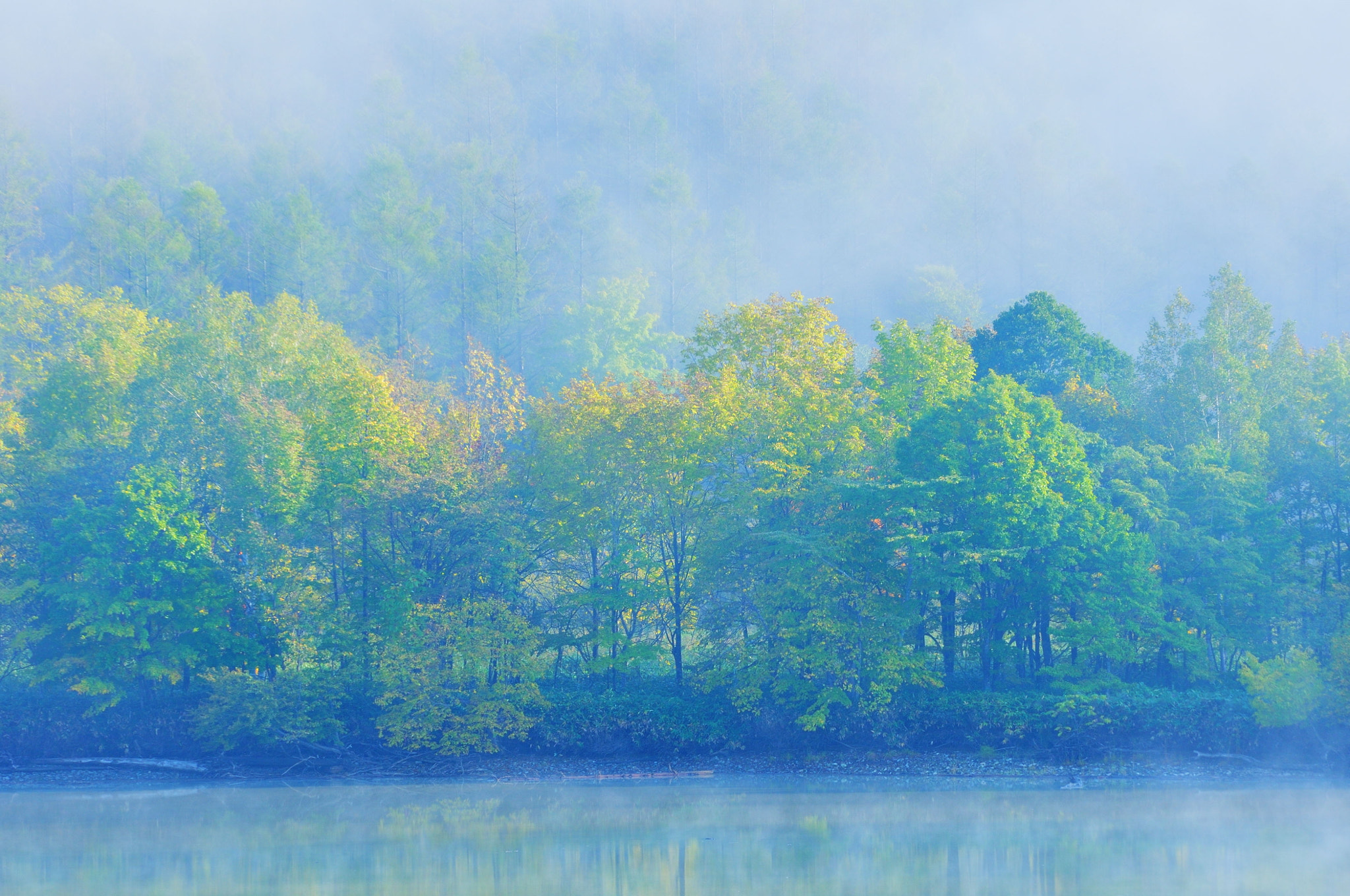 Sigma 70-200mm F2.8 EX DG OS HSM sample photo. Misty morning photography