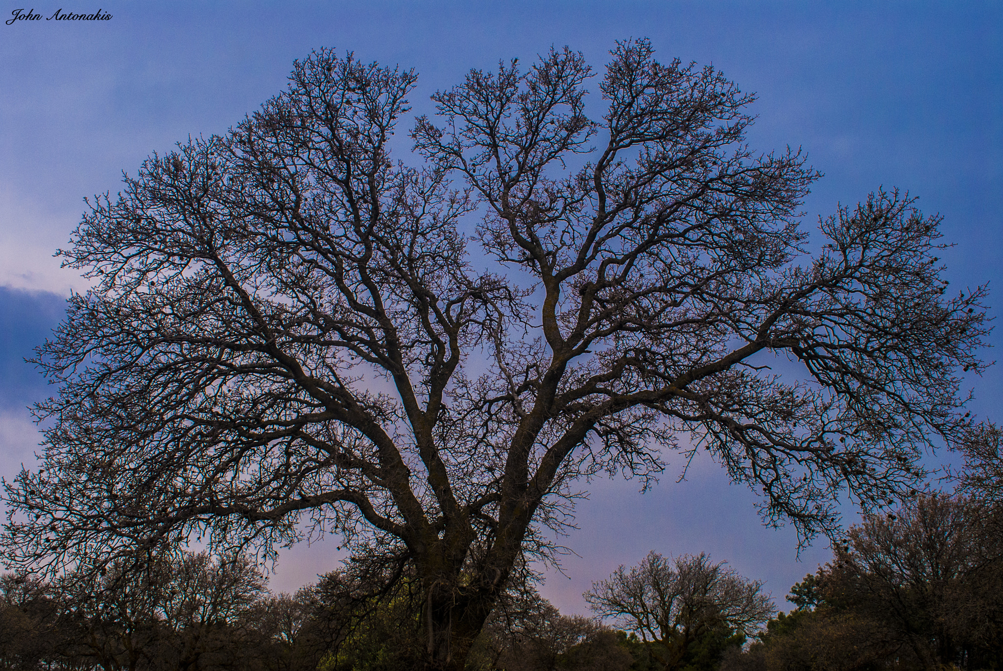 Nikon AF-S Nikkor 28-70mm F2.8 ED-IF sample photo. Hope.... photography