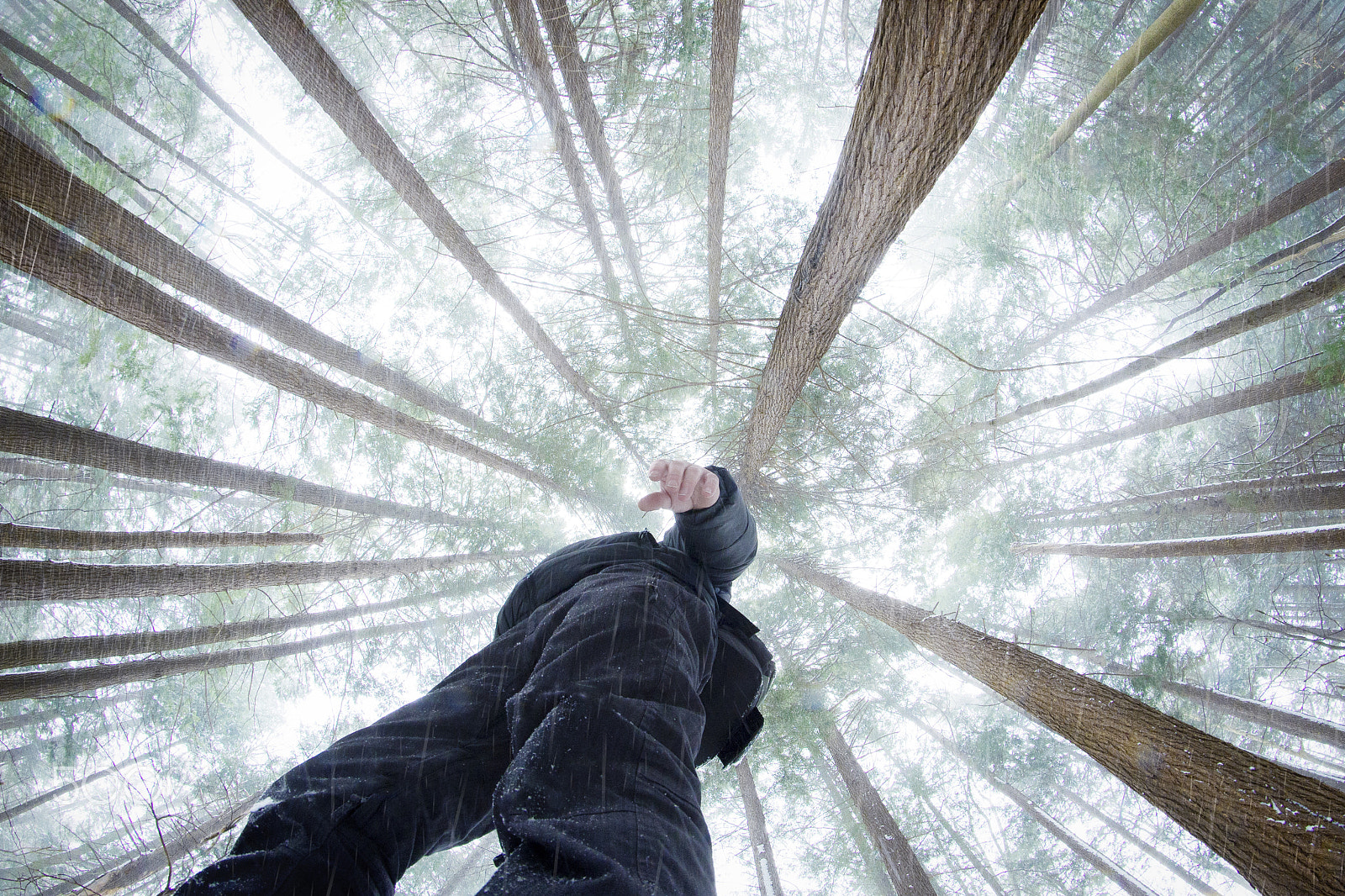 Nikon D610 + Samyang 8mm F3.5 Aspherical IF MC Fisheye sample photo. Snow day photography