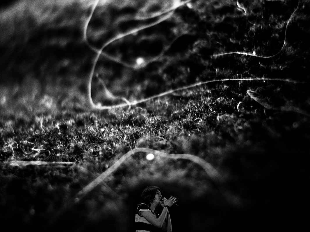 Canon POWERSHOT A430 sample photo. String theory photography