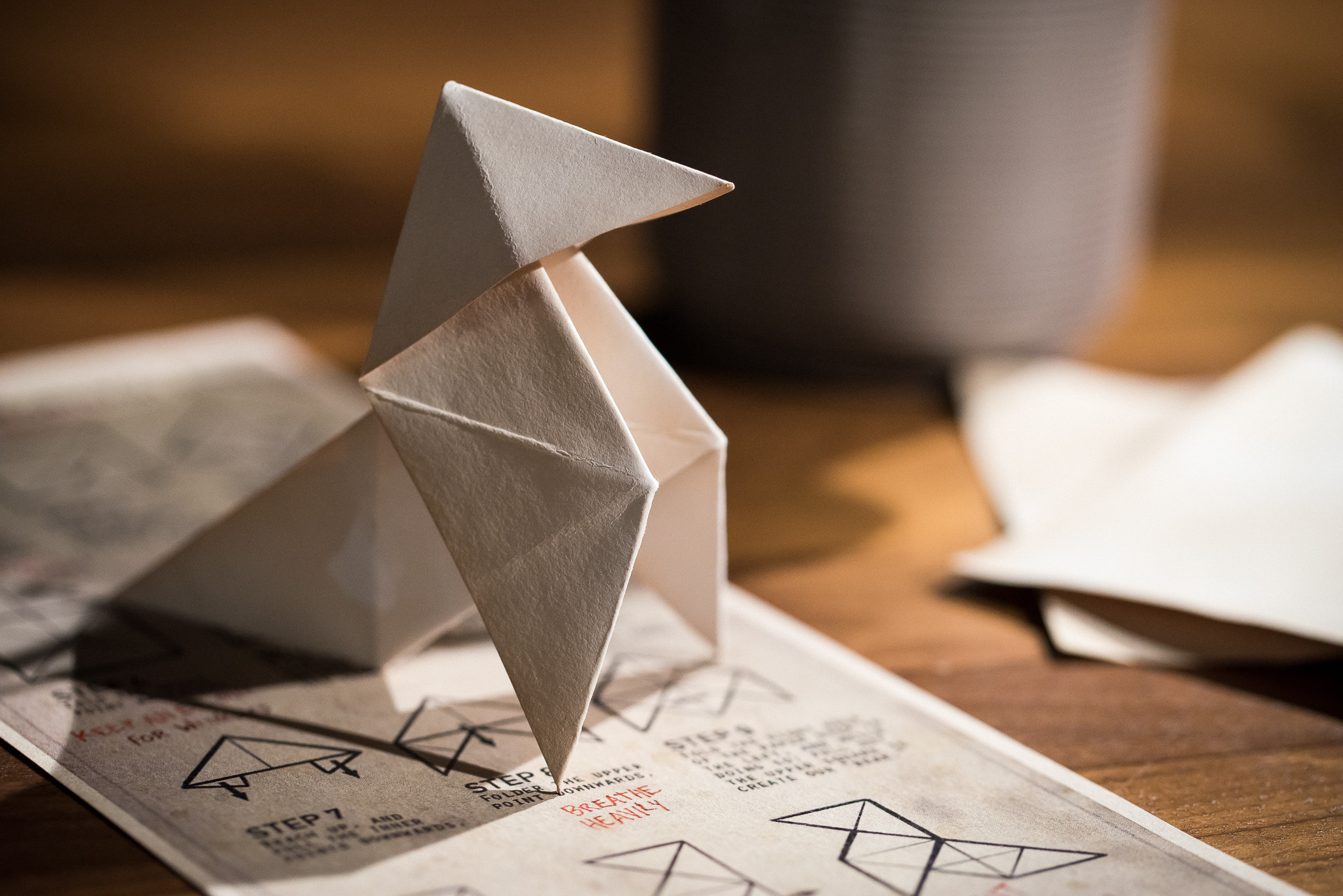 Sony a7R + Canon EF 100mm F2.8L Macro IS USM sample photo. Heavy rain: origami bird photography