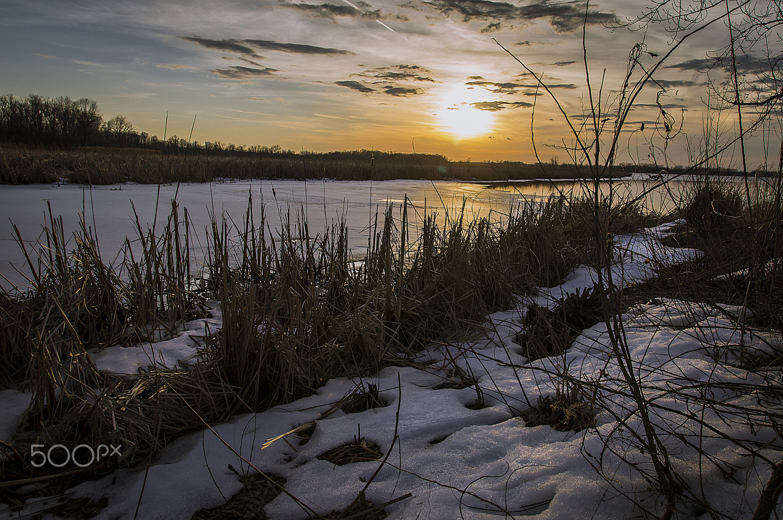 Sony SLT-A55 (SLT-A55V) sample photo. Grass and snow photography
