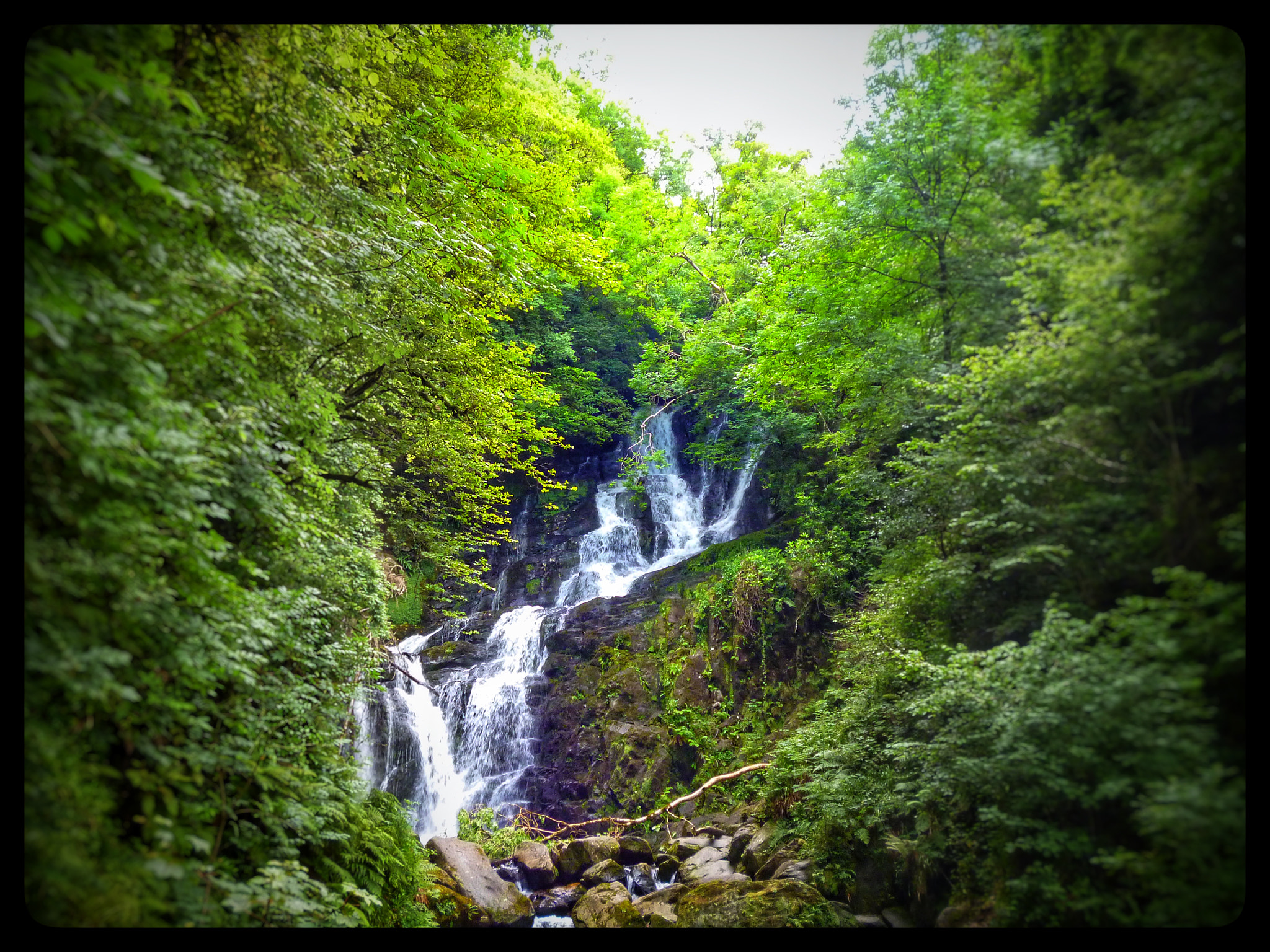 Panasonic DMC-FS16 sample photo. Mossy waterfall photography