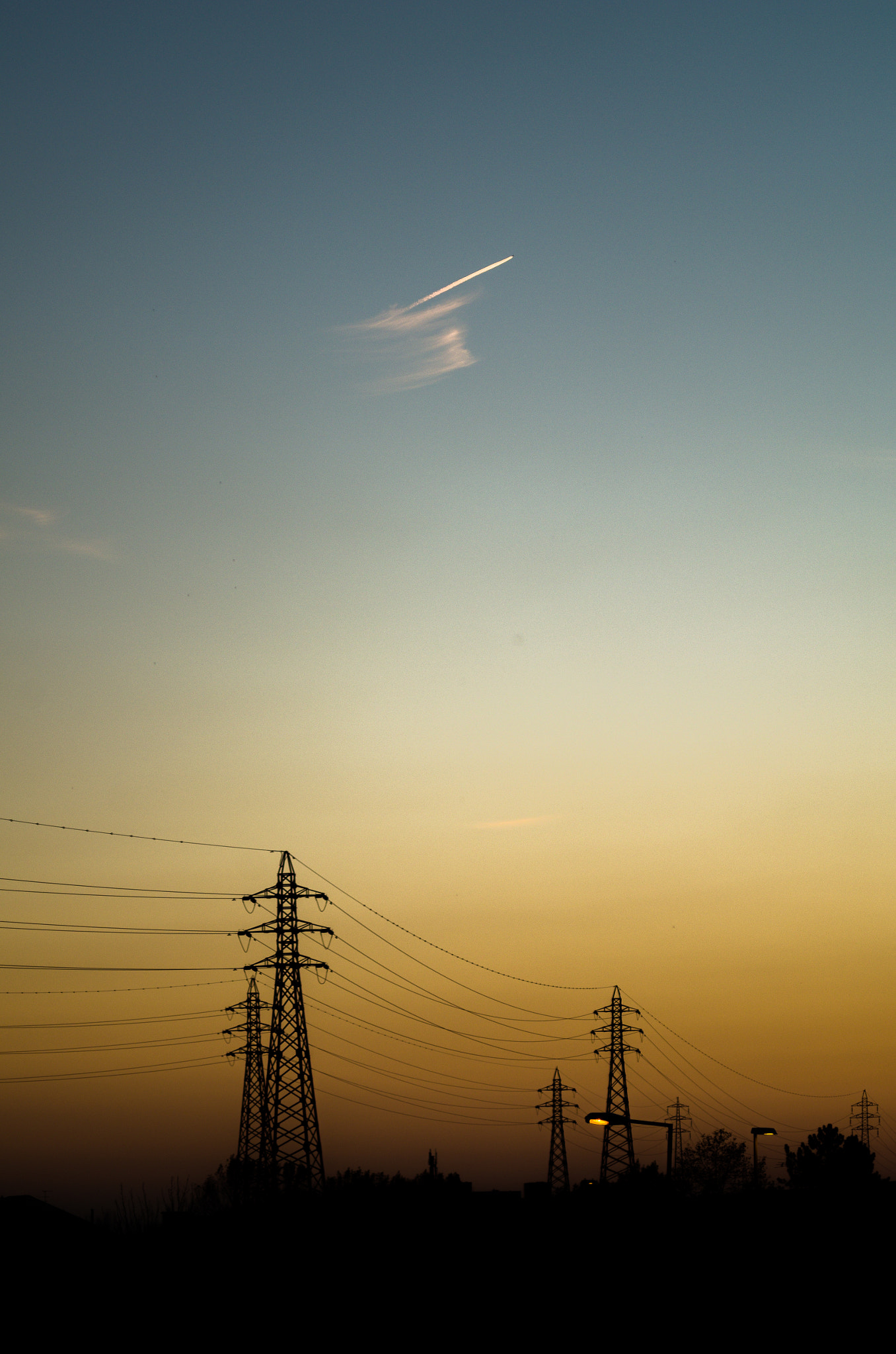 Pentax K-50 sample photo. Urban trees photography