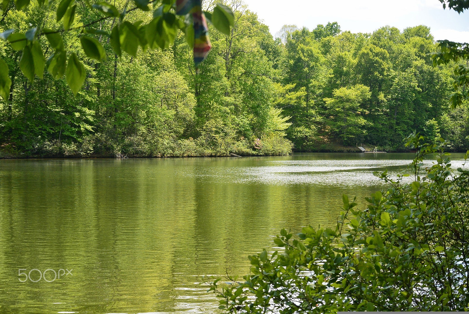 Nikon 1 S1 sample photo. By the lake 2 photography