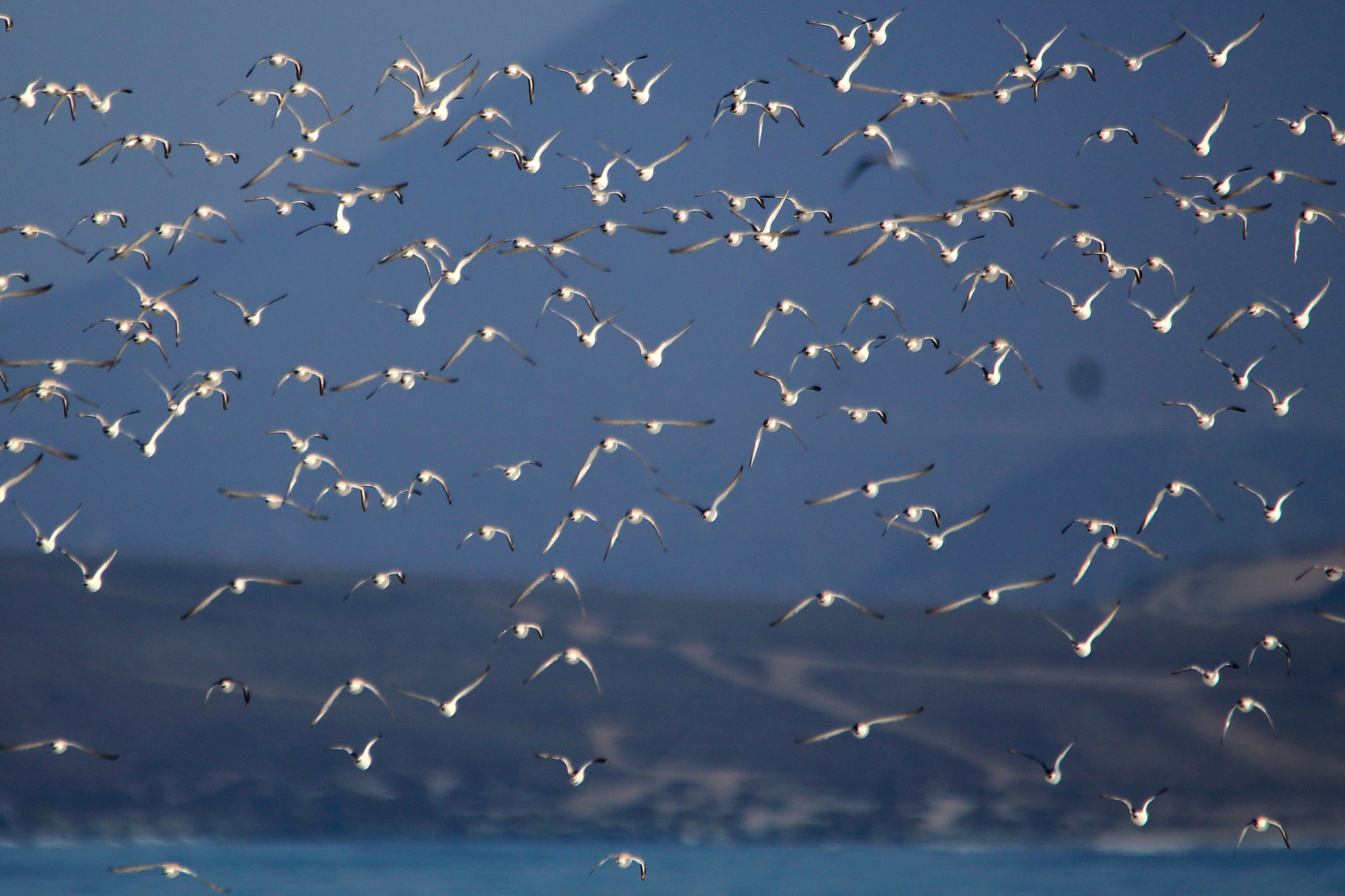 Sigma 150-500mm F5-6.3 DG OS HSM sample photo