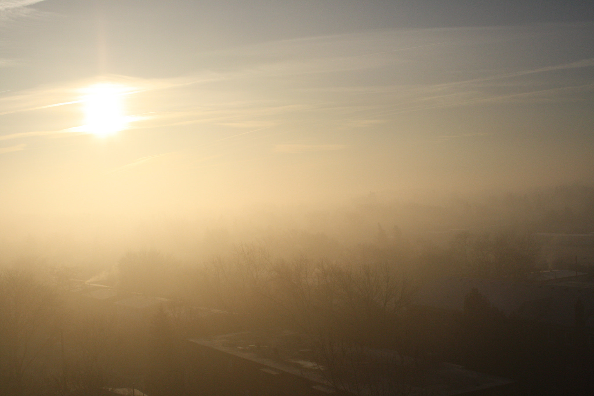 Canon EF-S 18-55mm F3.5-5.6 sample photo. Misty mornings photography