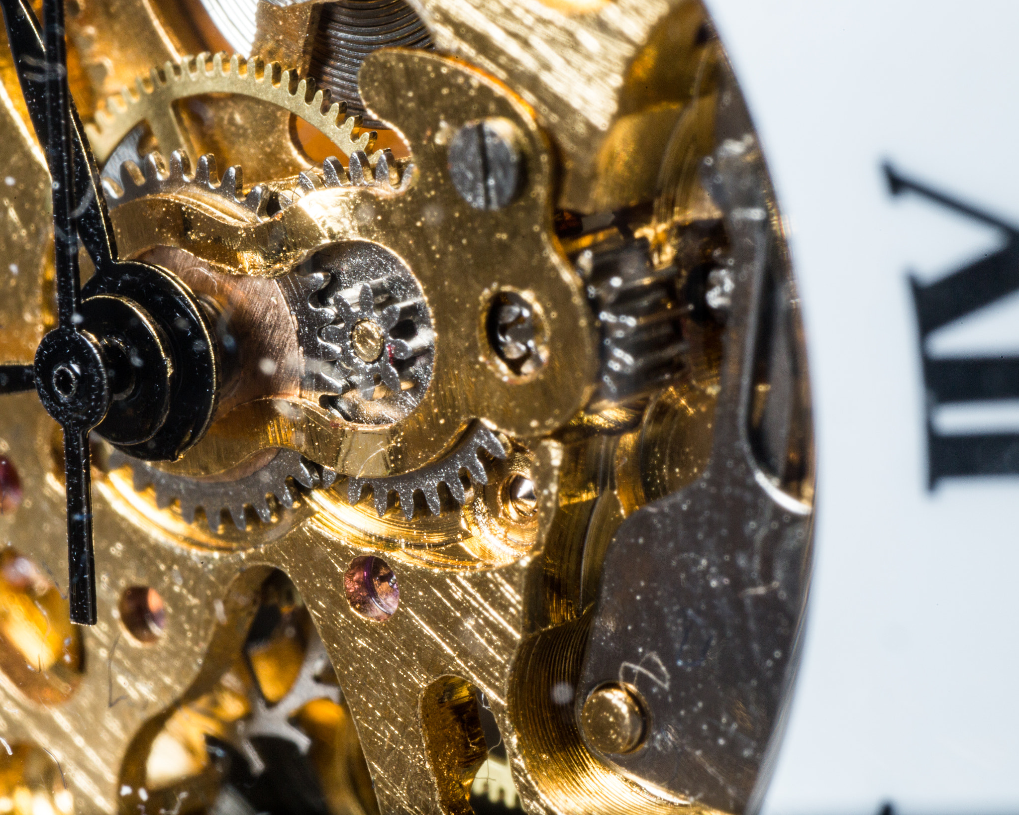 Canon EOS 6D + Sigma 70mm F2.8 EX DG Macro sample photo. Pocket watch macro - 365 project #1 3/2/16 photography