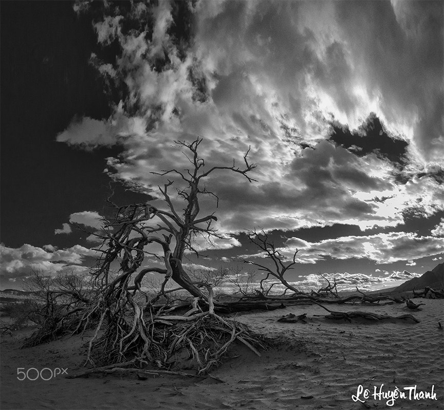 Nikon D800E + Nikon AF Fisheye-Nikkor 16mm F2.8D sample photo. Storm is coming photography