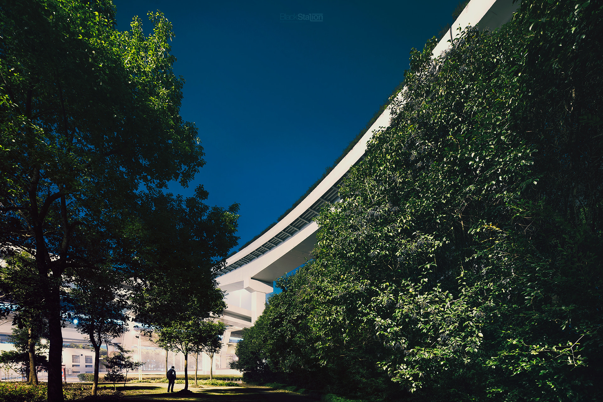 Canon TS-E 17mm F4L Tilt-Shift sample photo. My corner photography
