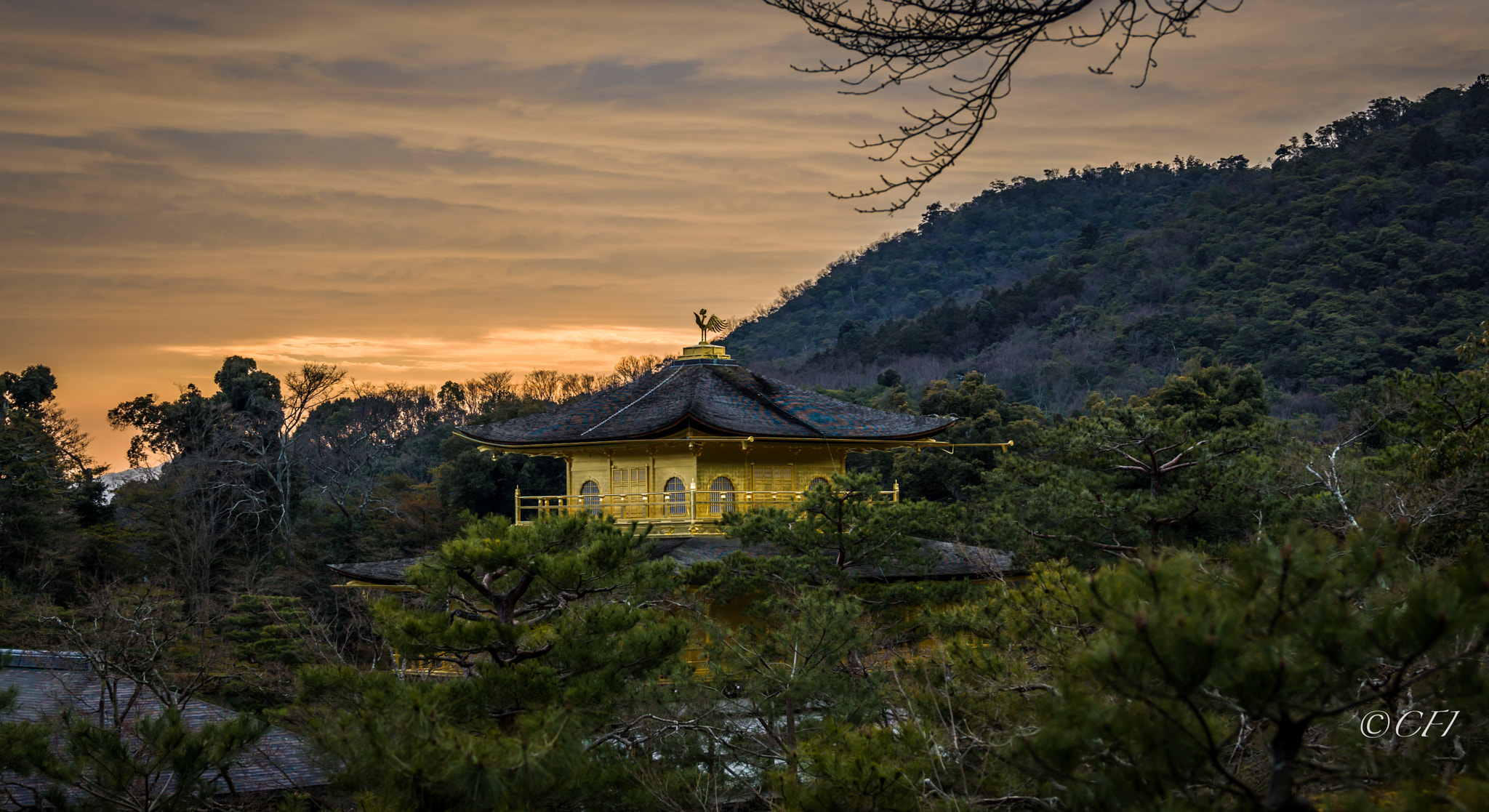 Hasselblad H5D + HCD 35-90 sample photo. Golden temple photography
