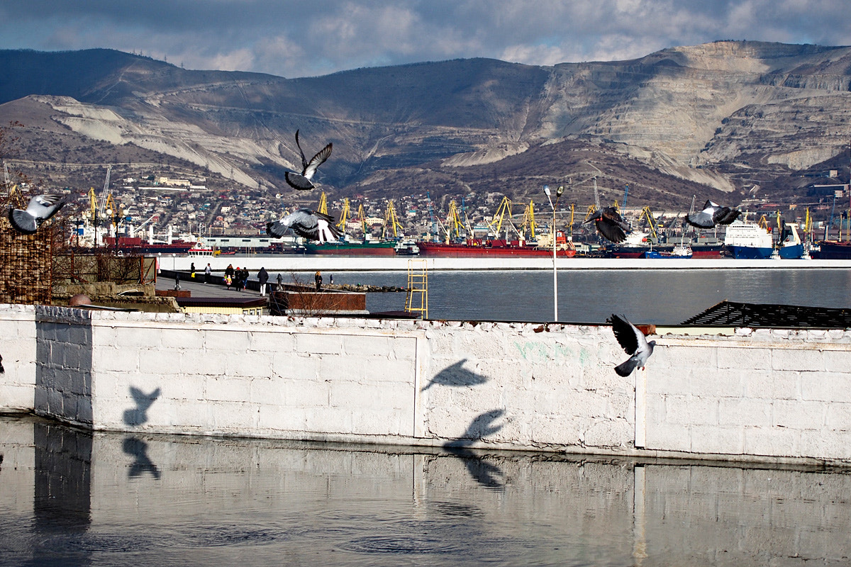 Olympus PEN E-PM2 sample photo. *** photography