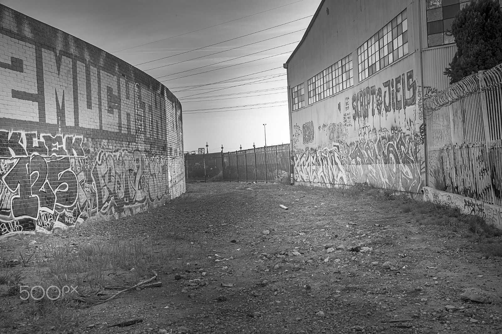 Sony DT 18-250mm F3.5-6.3 sample photo. Back alley in black and white photography