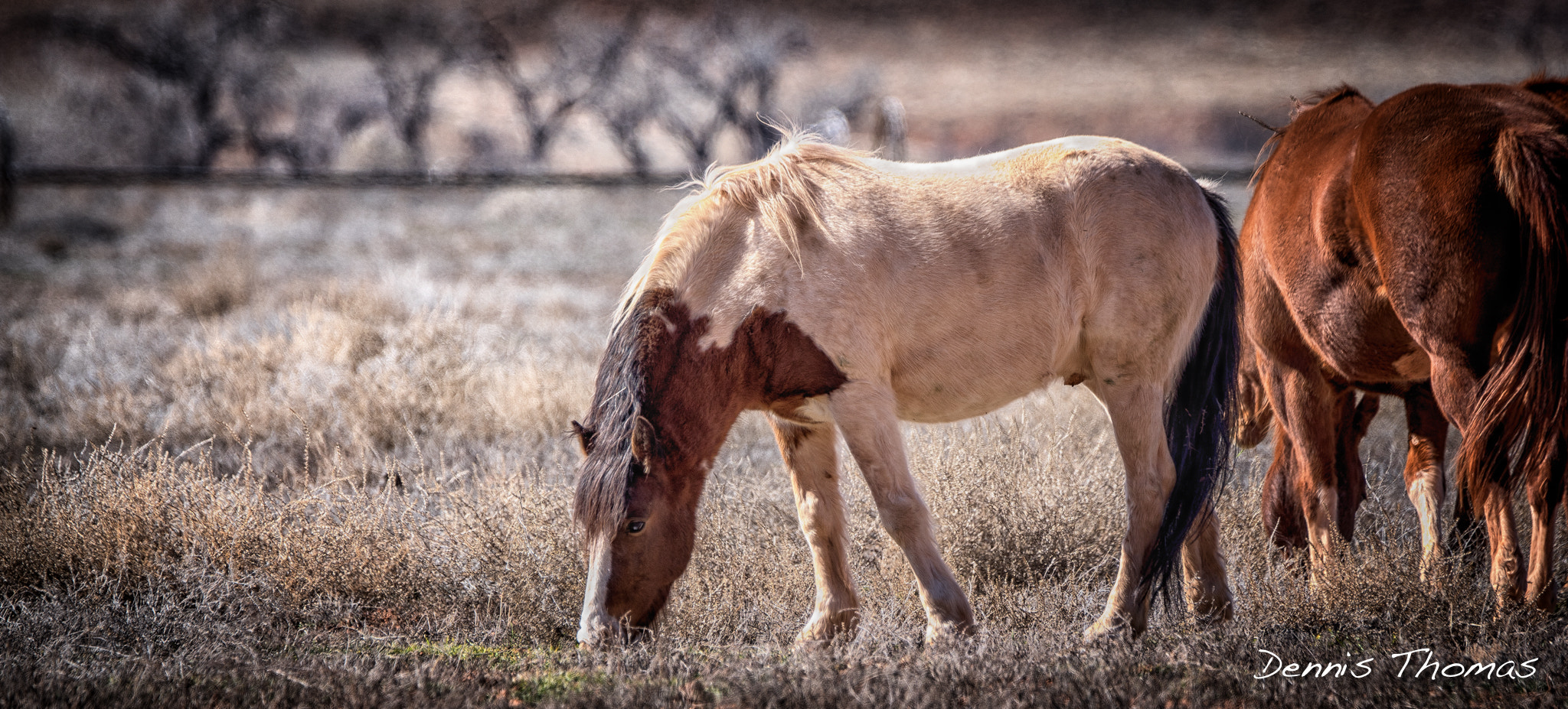 Sony ILCA-77M2 + Sony 70-400mm F4-5.6 G SSM sample photo. Moab in the spring photography