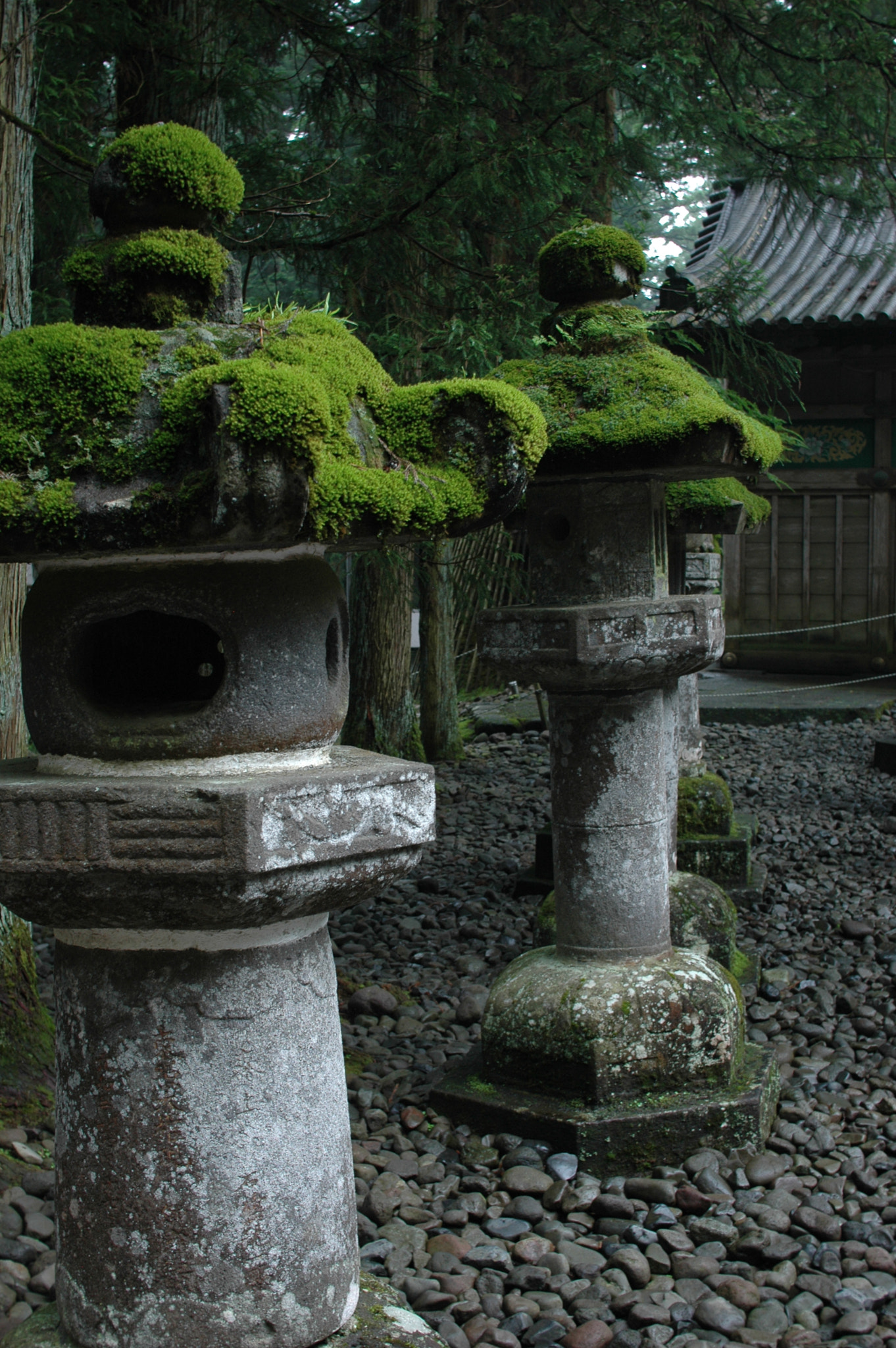 Nikon D70 + Sigma 30mm F1.4 EX DC HSM sample photo. Nikkō--stone lanterns and moss photography