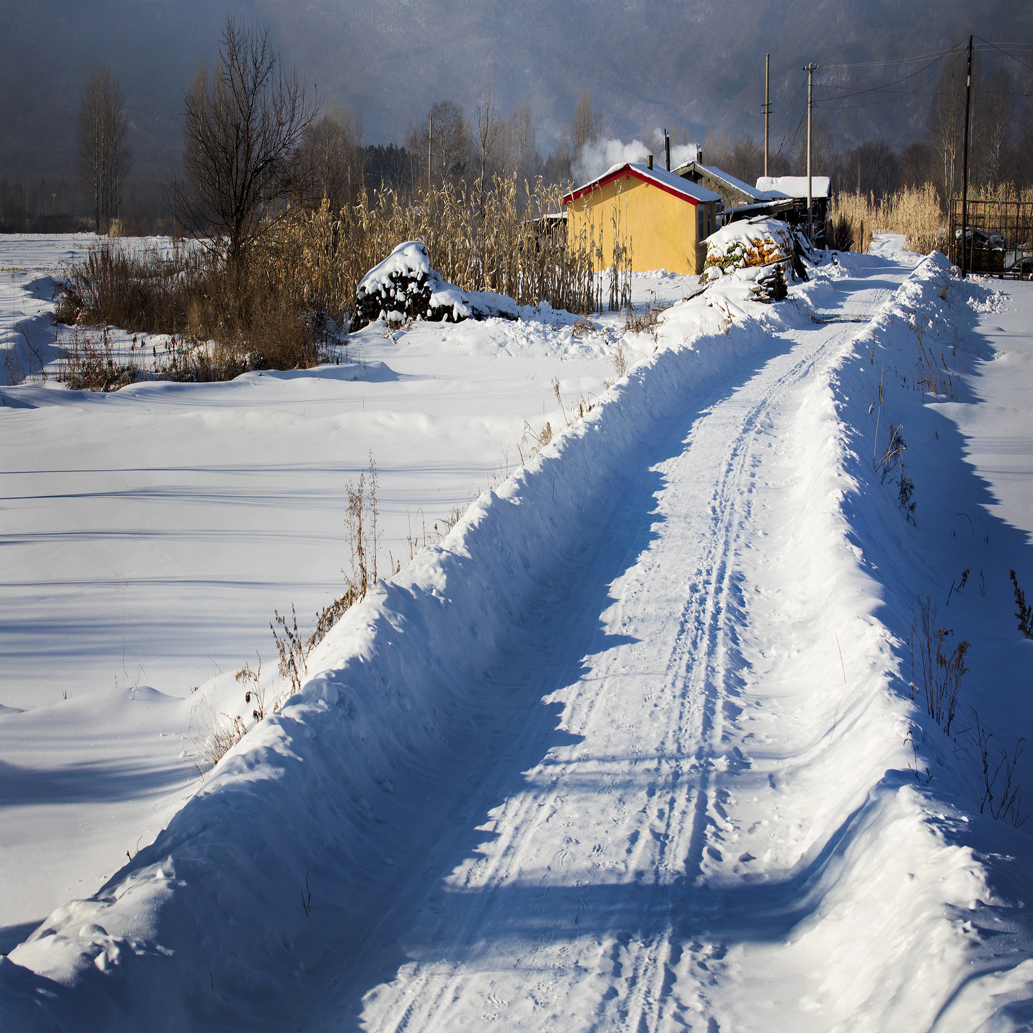 Canon EF 70-300mm F4-5.6L IS USM sample photo. Path to my home photography