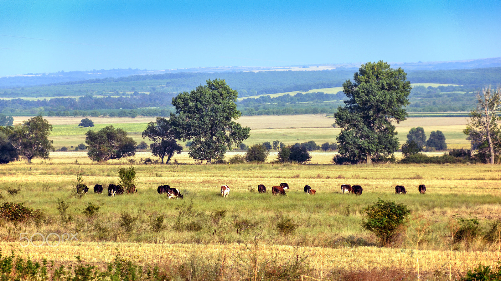 Sigma 18-200mm F3.5-6.3 DC OS HSM sample photo. Bulgarian pastoral photography
