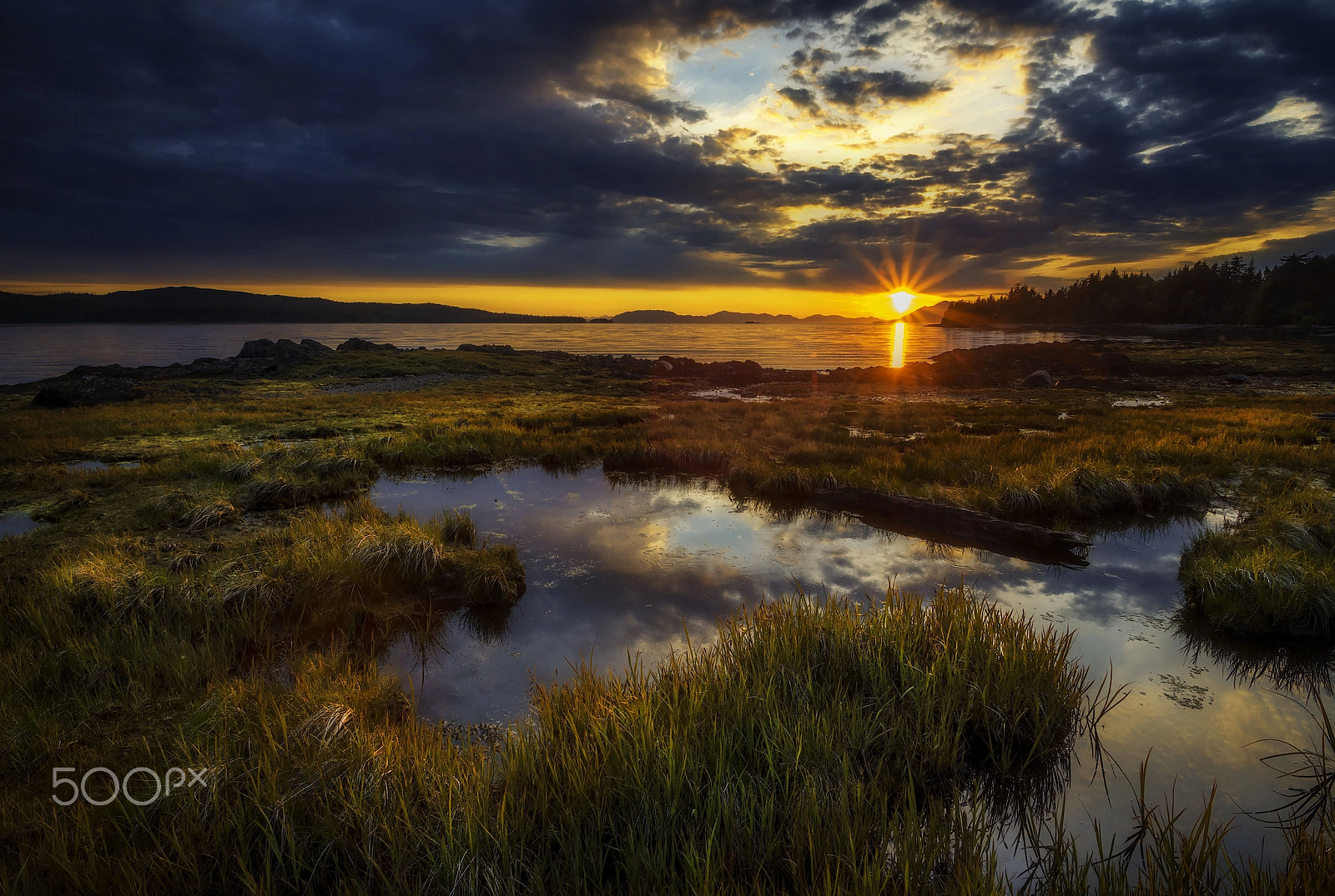 Pentax K-5 sample photo. Tide pool reflections photography