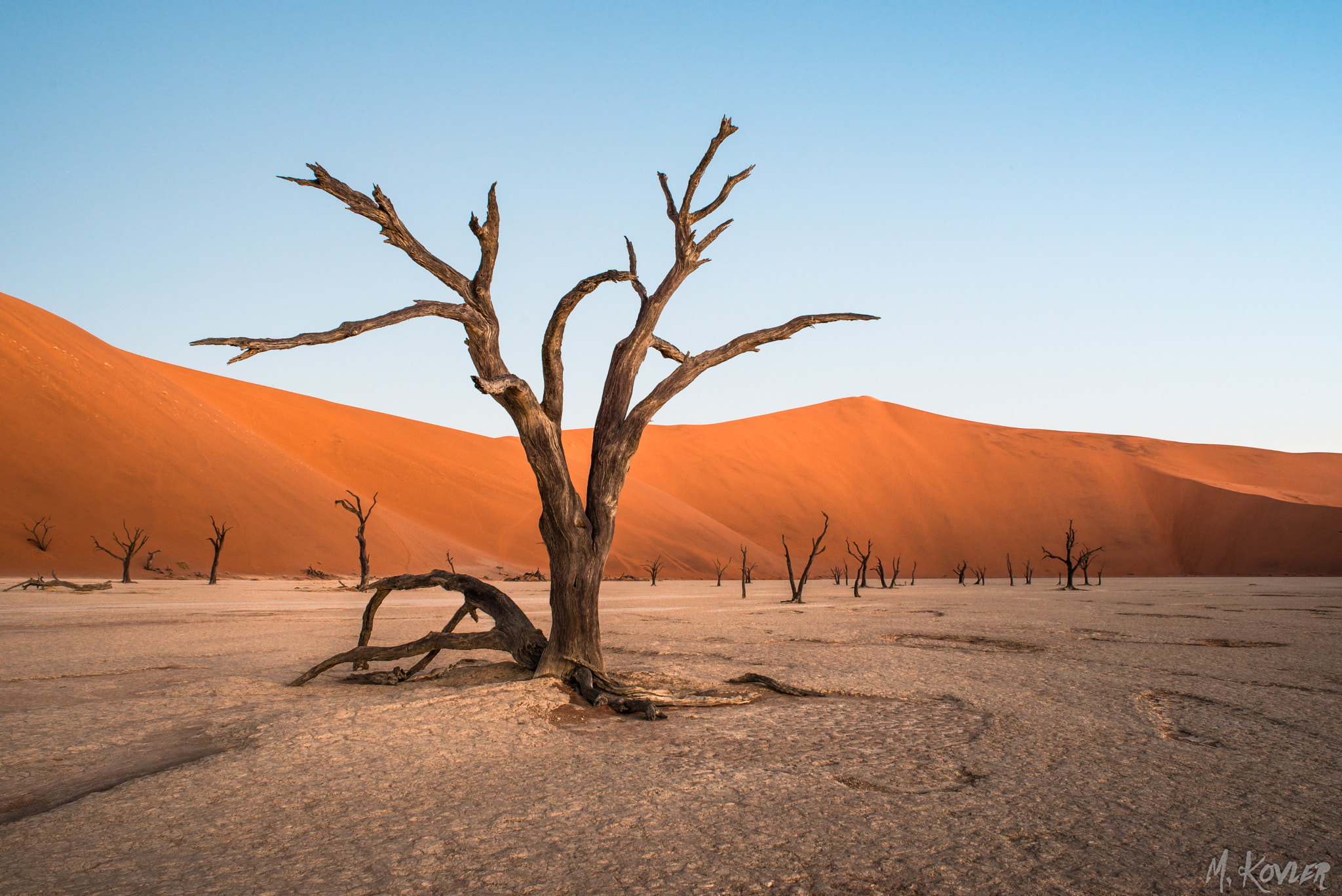 Nikon D800 + Nikon AF Nikkor 24mm F2.8D sample photo. Deadvlei, namibia photography