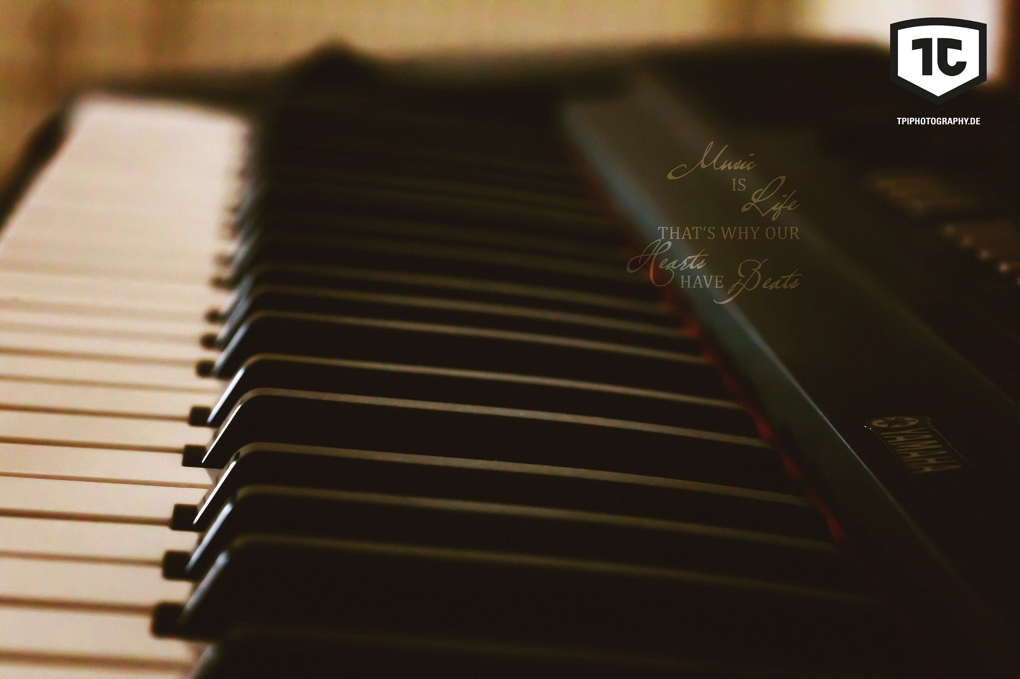 Tamron SP AF 90mm F2.8 Di Macro sample photo. *** music is life *** photography