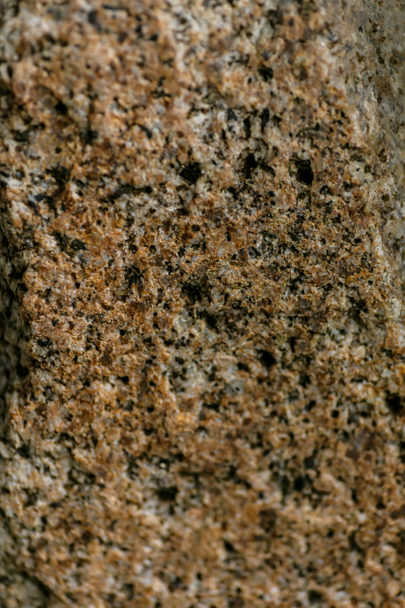 Tamron SP AF 90mm F2.8 Di Macro sample photo. Stone pattern detail, macro photography photography