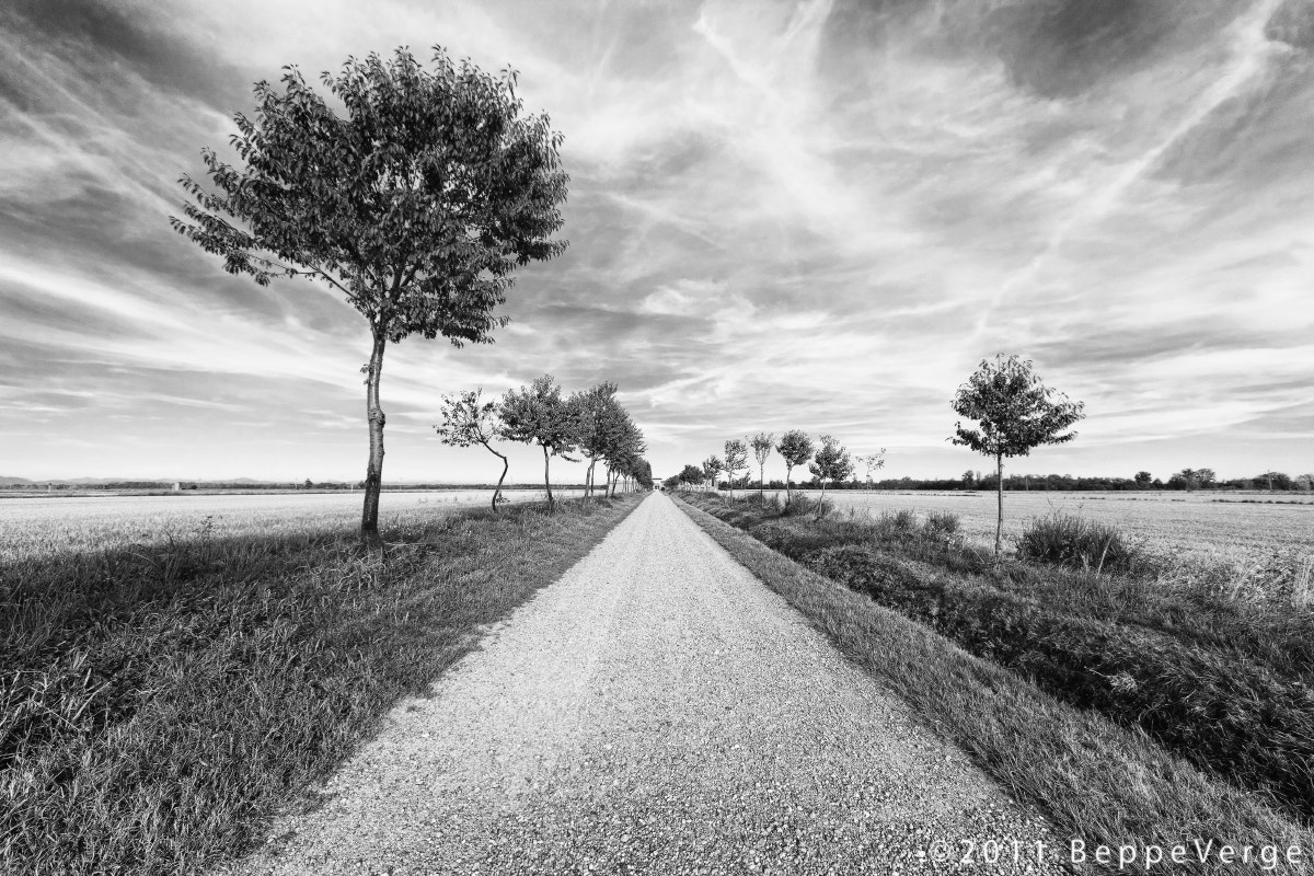 Sigma 8-16mm F4.5-5.6 DC HSM sample photo. Plains photography