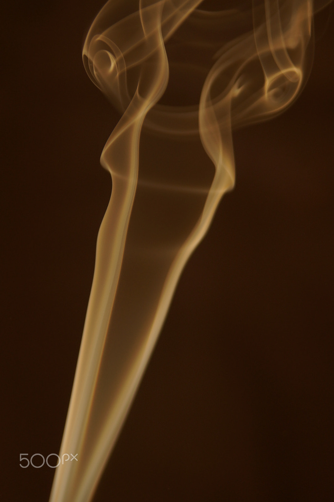 Sony SLT-A77 + Tamron Lens (255) sample photo. Smokey braun photography
