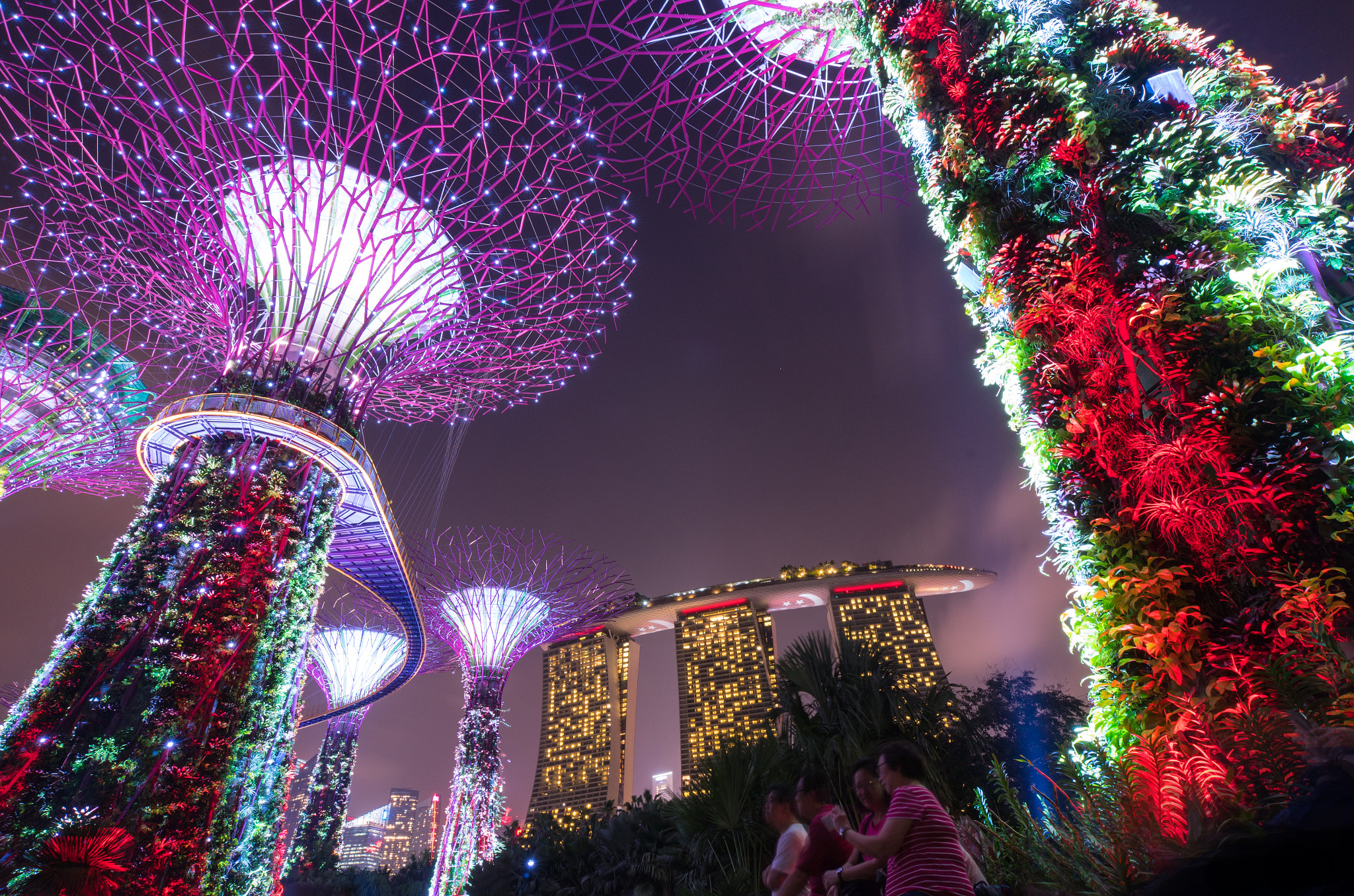 Leica T (Typ 701) sample photo. Supertrees | sg50 2015 photography