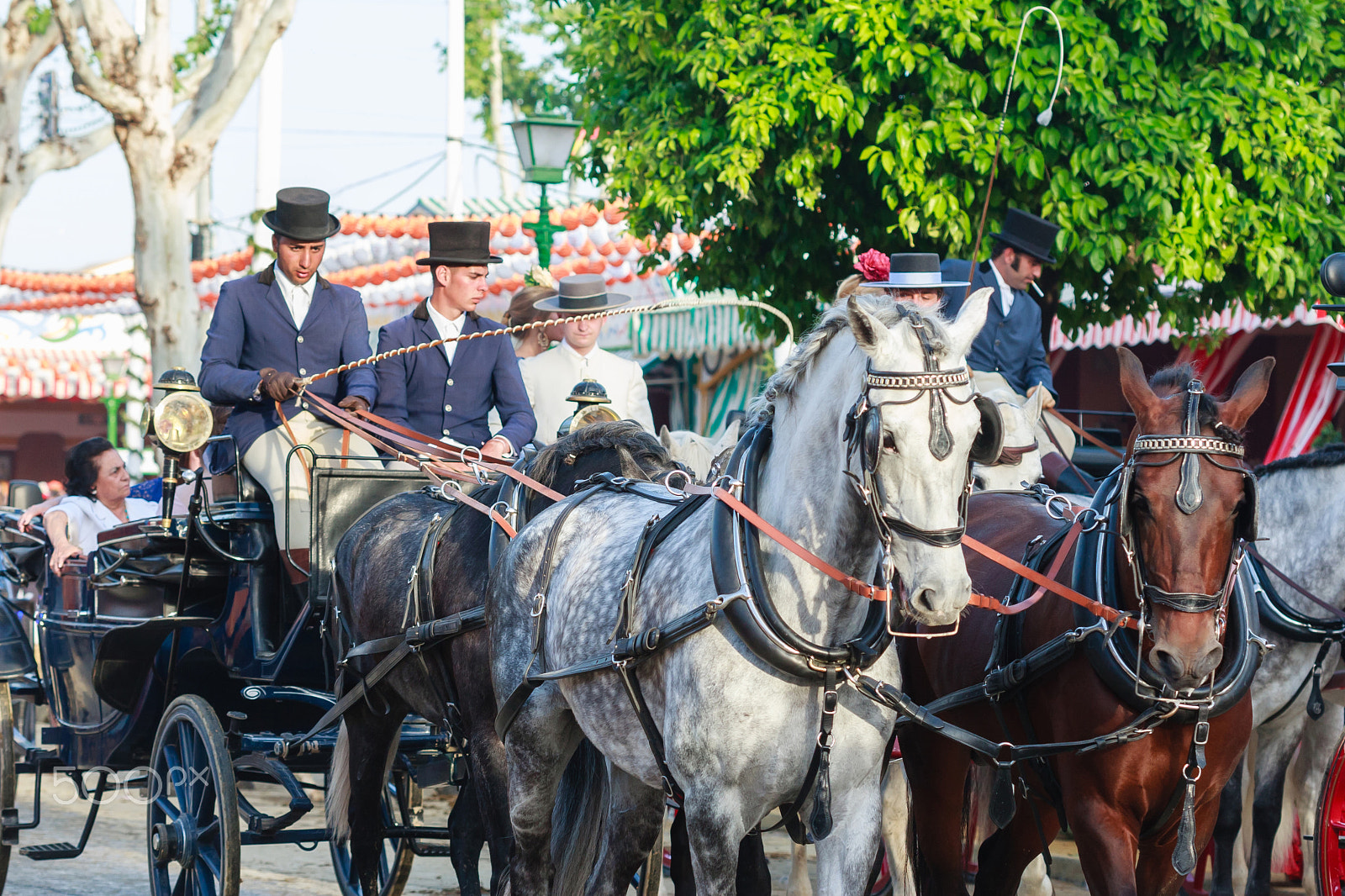 Canon EOS 30D sample photo. Nice horse drawn carriage at the seville fair photography