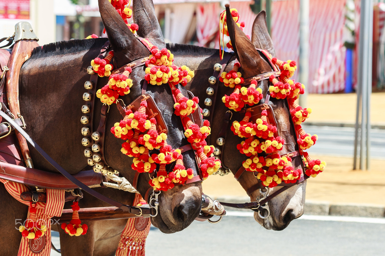 Canon EOS 30D sample photo. Horse drawn carriage on the fair of seville photography