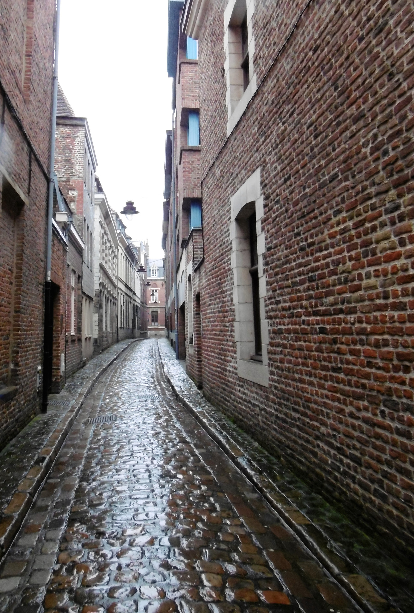 Panasonic DMC-SZ10 sample photo. Street in lille - france photography