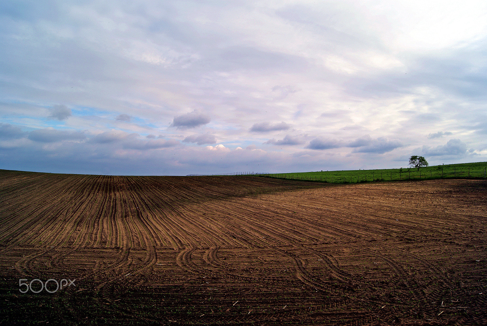 Sony DT 18-55mm F3.5-5.6 SAM sample photo. Field of silence photography