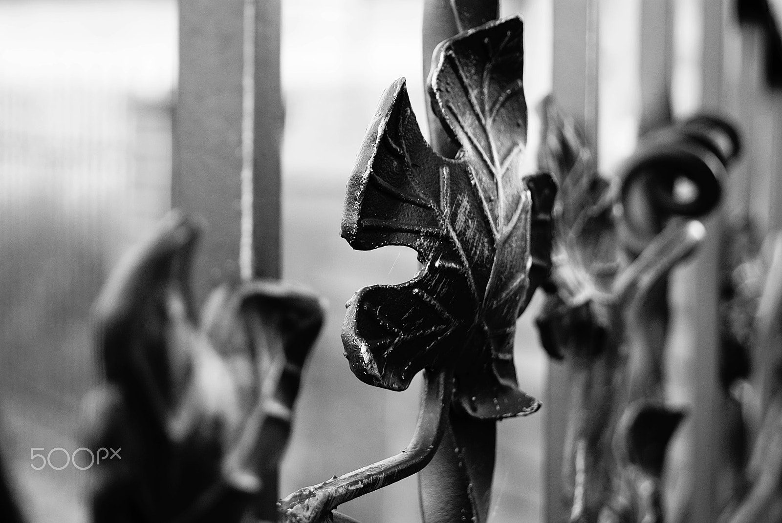 Sony DT 18-55mm F3.5-5.6 SAM sample photo. Iron art photography