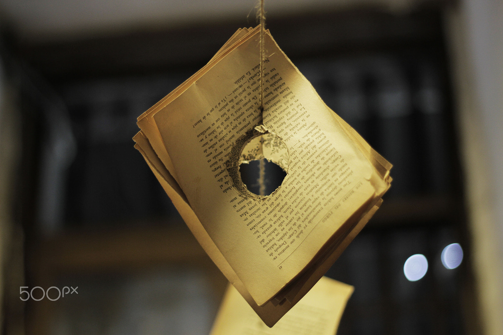Canon EOS 7D + Canon EF 50mm f/1.8 sample photo. Words photography