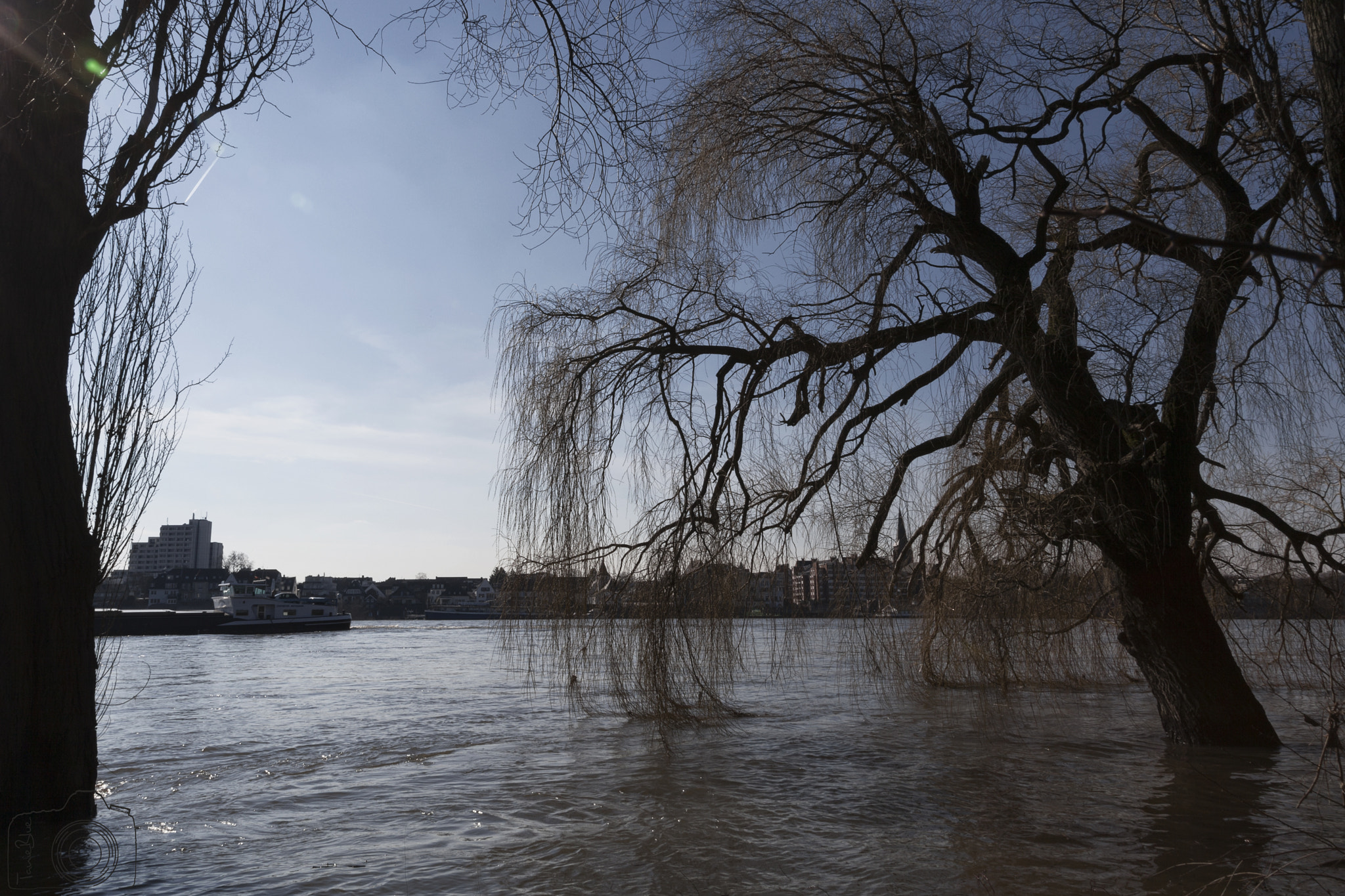 Sigma 24-105mm f/4 DG OS HSM | A sample photo. ☼ ☼ ☼ photography