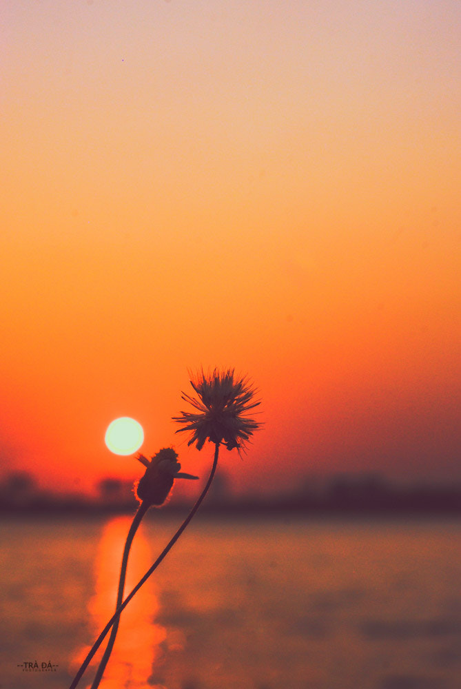 AF Nikkor 50mm f/1.8 N sample photo. Sundown photography
