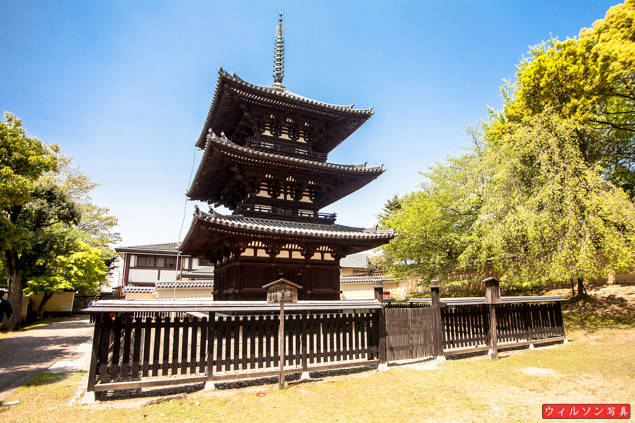 Canon EOS 5D + Tamron AF 19-35mm f/3.5-4.5 sample photo. Nara 30 photography