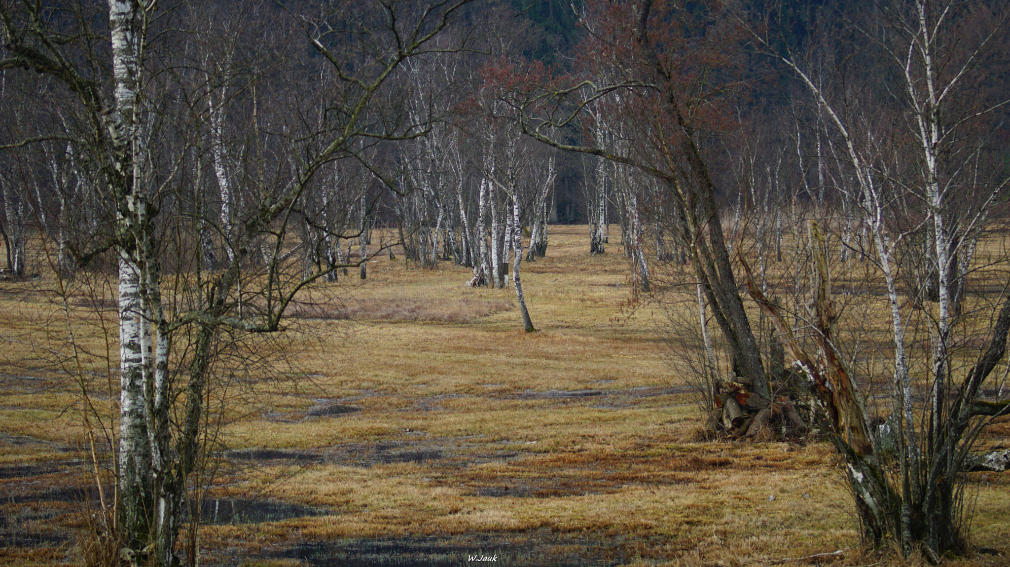 Sony 75-300mm F4.5-5.6 sample photo. Moorland photography