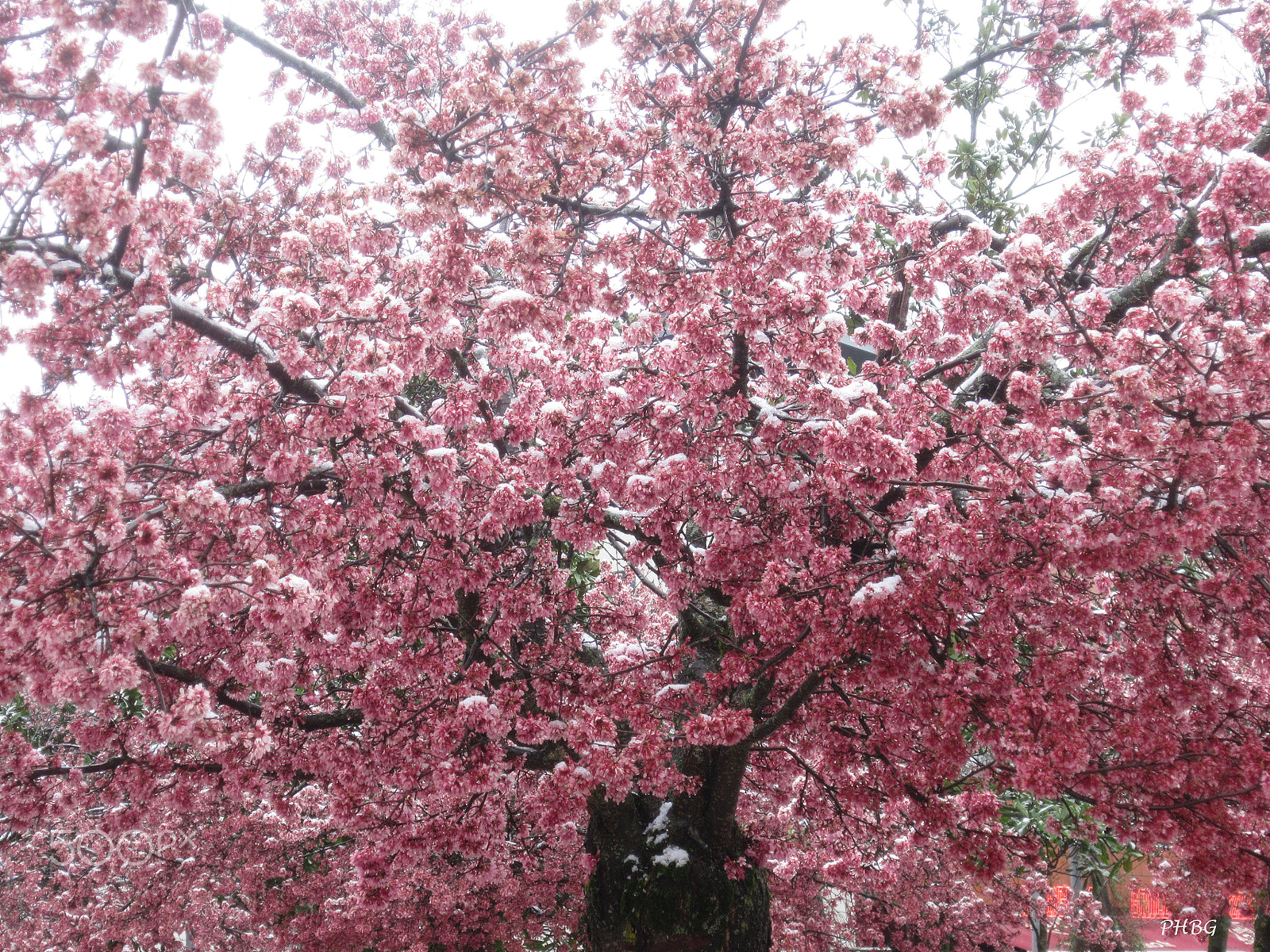 Canon PowerShot A3200 IS sample photo. 3298m1phbg photography