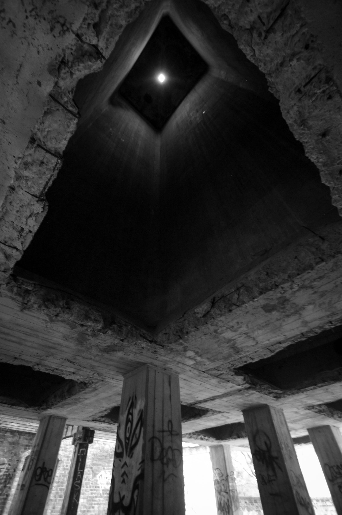 Nikon D2X sample photo. Unt #11 photography