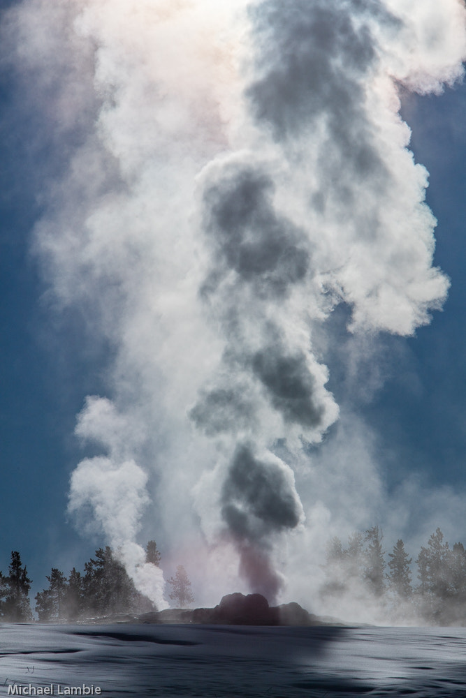 Canon EF 70-200mm F2.8L IS USM sample photo. Faithful inverted photography