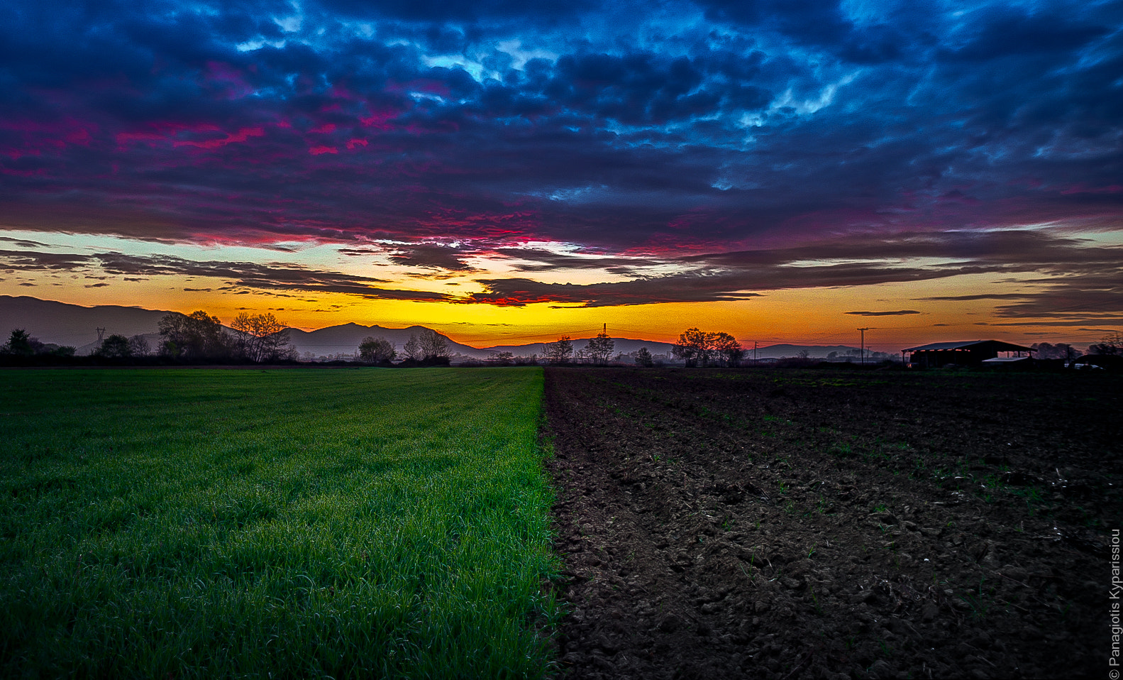 Sony Alpha NEX-6 + Sony E 16mm F2.8 sample photo. Cut in the middle photography