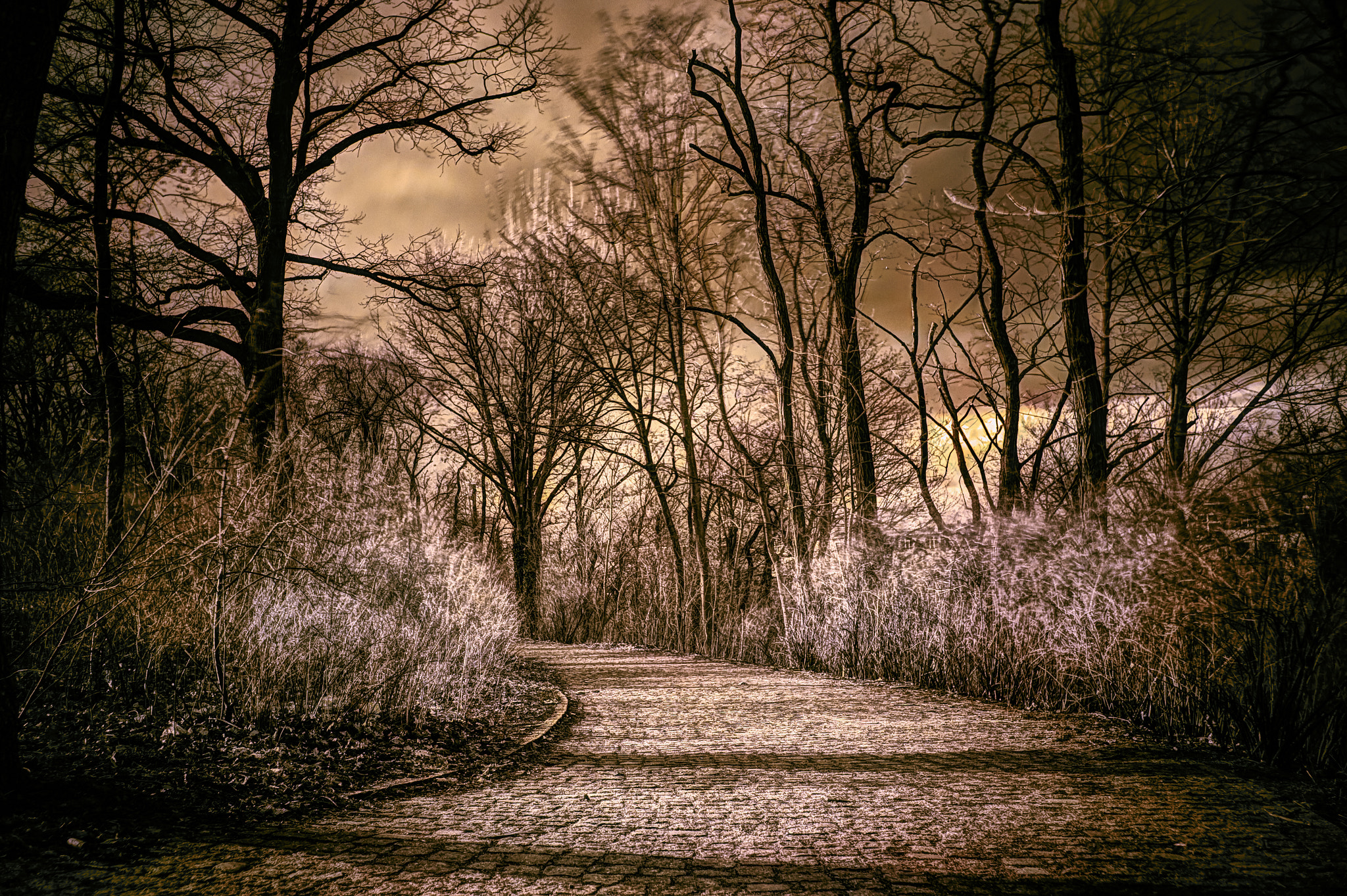 Sony E 20mm F2.8 sample photo. A cobbled path photography