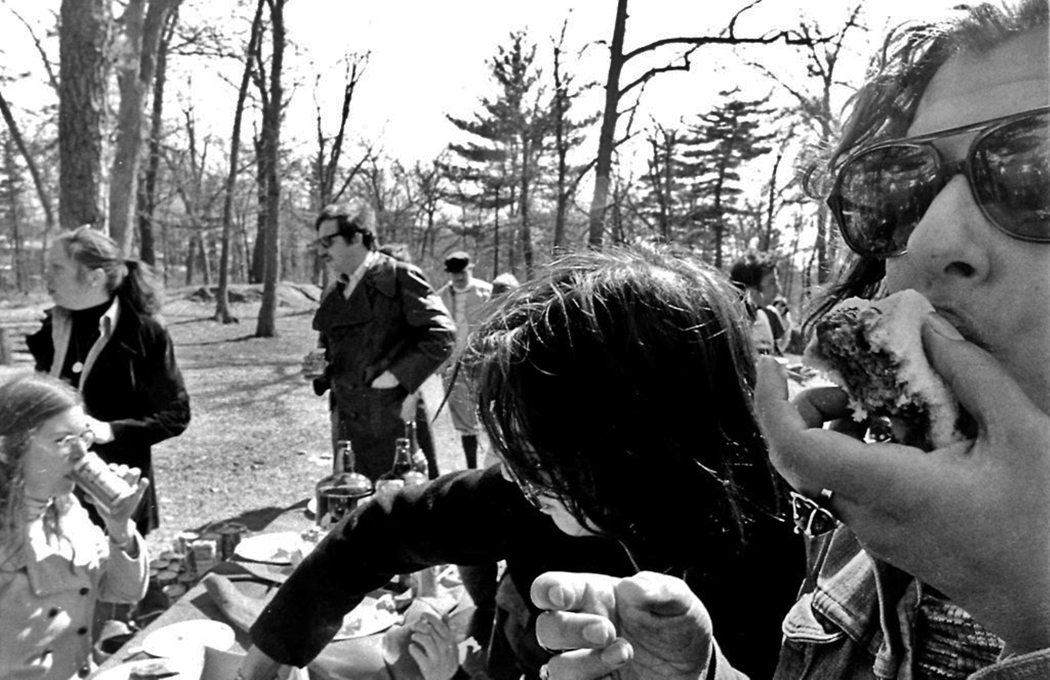 Syntek USB Camera sample photo. Burger_boston_1974 photography