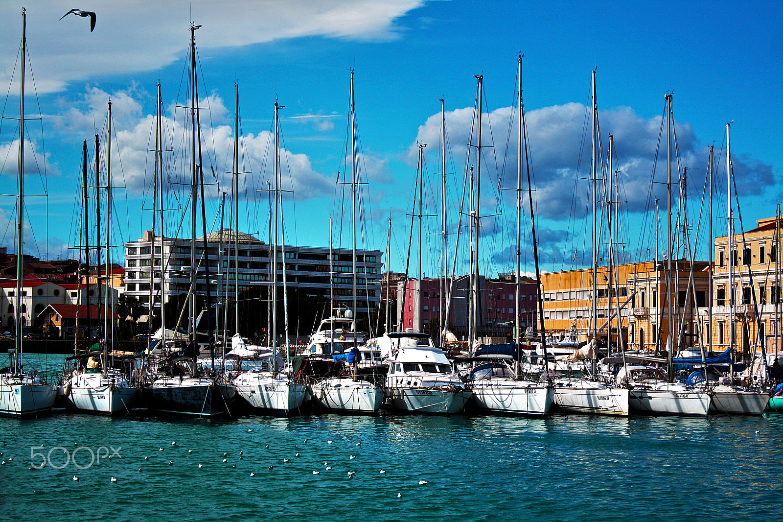 Canon EOS 1000D (EOS Digital Rebel XS / EOS Kiss F) sample photo. Porto di catania photography