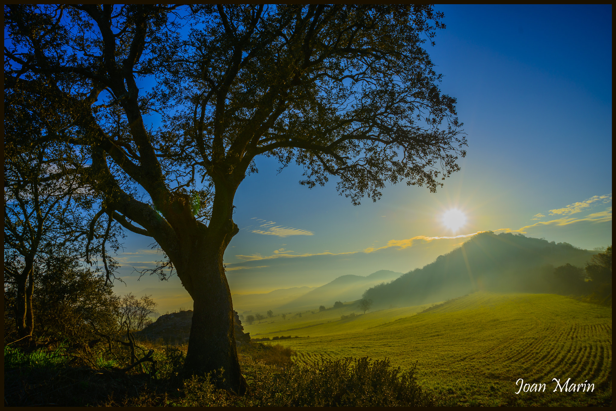 AF Zoom-Nikkor 24-120mm f/3.5-5.6D IF sample photo. B () photography