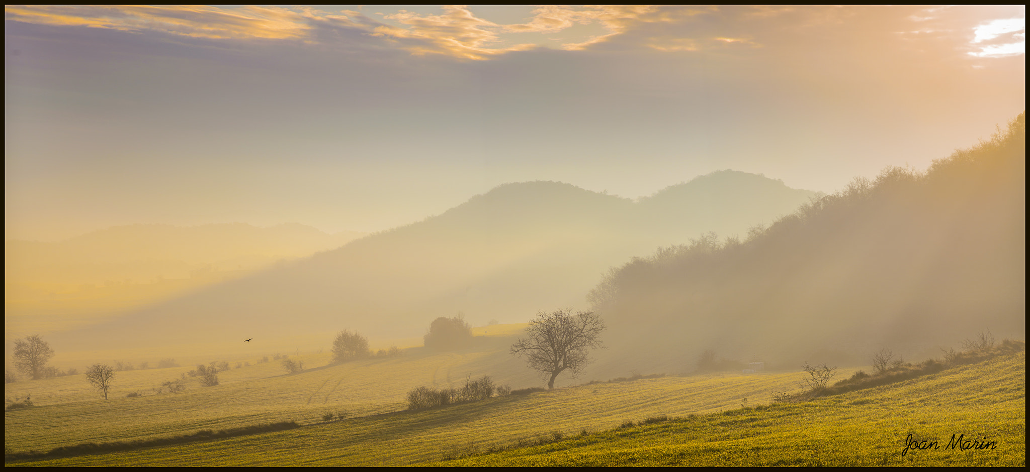AF Zoom-Nikkor 24-120mm f/3.5-5.6D IF sample photo. B () photography