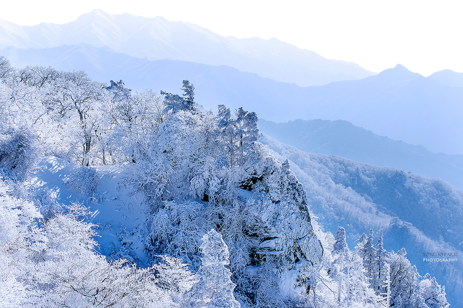 Pentax K-3 sample photo. Unforgettable photography